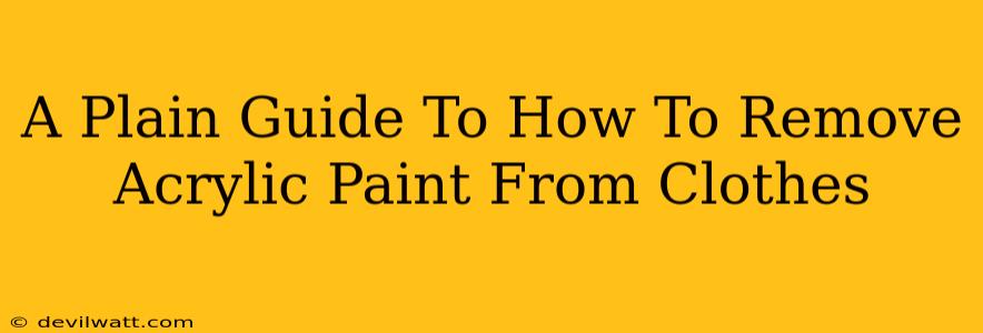 A Plain Guide To How To Remove Acrylic Paint From Clothes