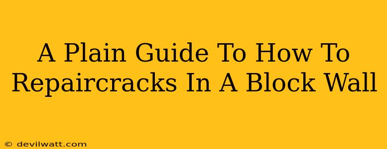 A Plain Guide To How To Repaircracks In A Block Wall