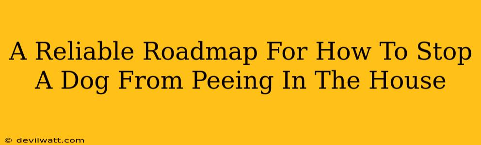 A Reliable Roadmap For How To Stop A Dog From Peeing In The House