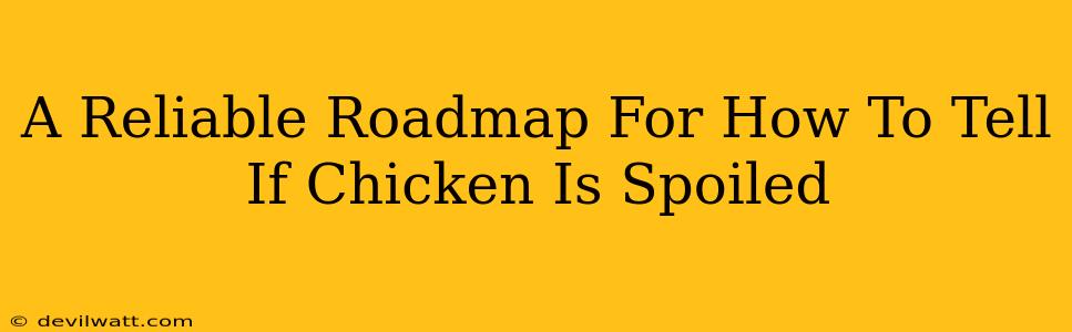 A Reliable Roadmap For How To Tell If Chicken Is Spoiled
