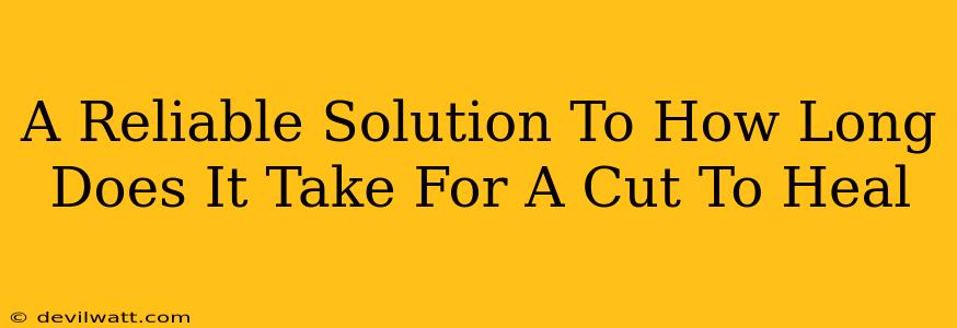 A Reliable Solution To How Long Does It Take For A Cut To Heal