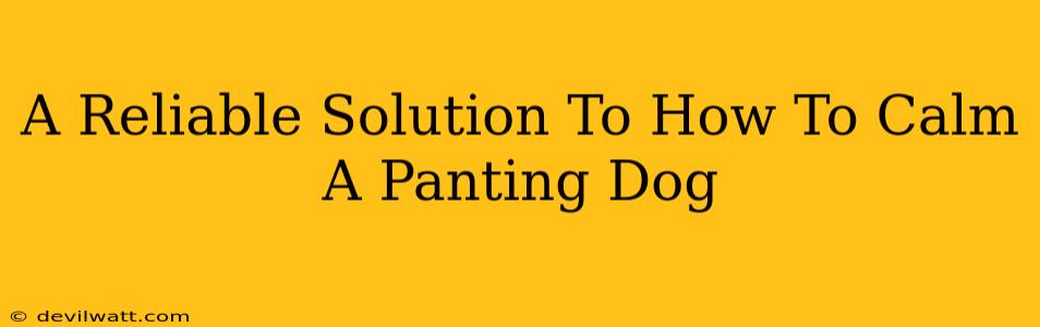 A Reliable Solution To How To Calm A Panting Dog