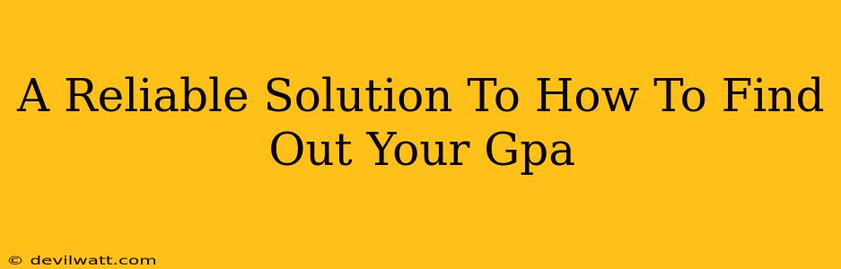 A Reliable Solution To How To Find Out Your Gpa