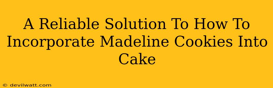 A Reliable Solution To How To Incorporate Madeline Cookies Into Cake