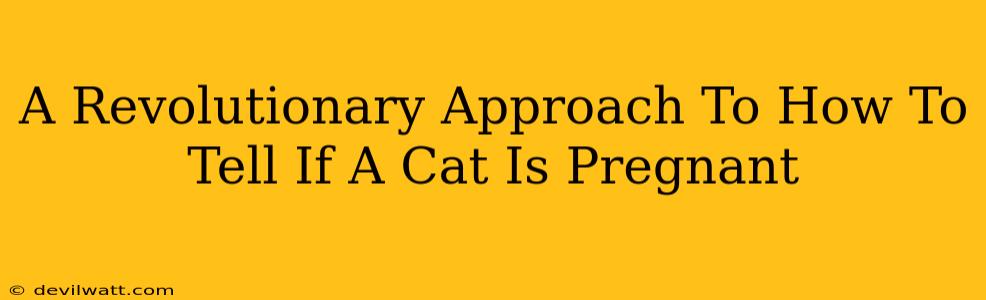 A Revolutionary Approach To How To Tell If A Cat Is Pregnant