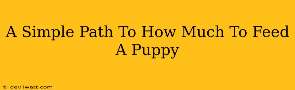 A Simple Path To How Much To Feed A Puppy