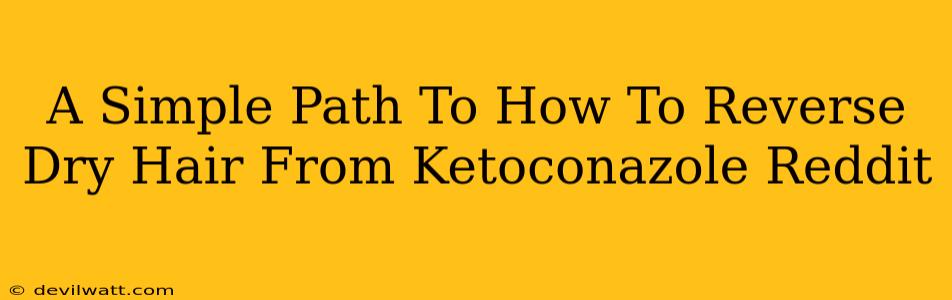 A Simple Path To How To Reverse Dry Hair From Ketoconazole Reddit