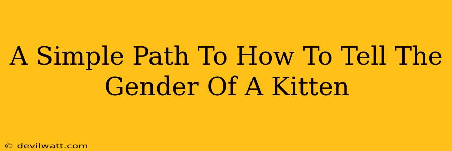 A Simple Path To How To Tell The Gender Of A Kitten