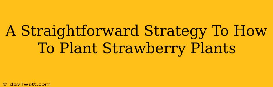 A Straightforward Strategy To How To Plant Strawberry Plants