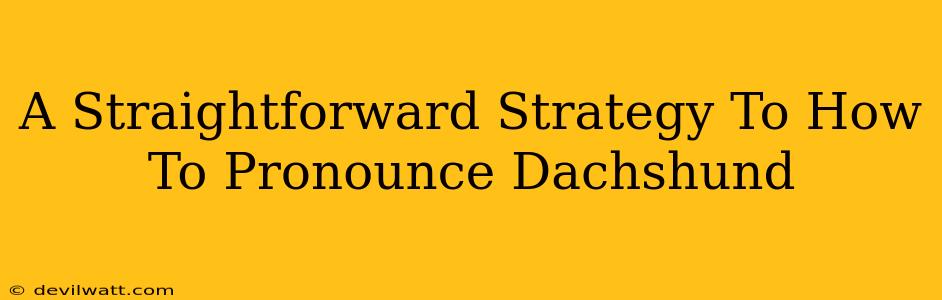 A Straightforward Strategy To How To Pronounce Dachshund