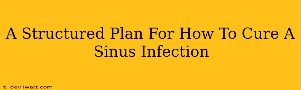 A Structured Plan For How To Cure A Sinus Infection