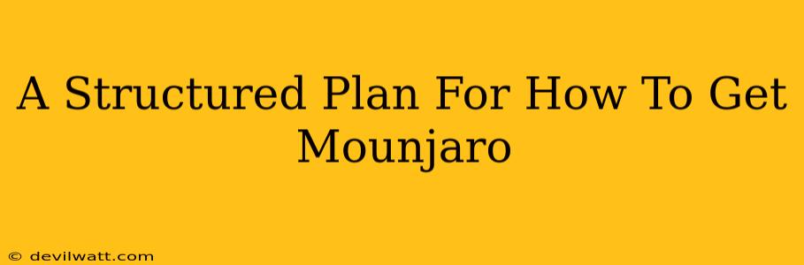 A Structured Plan For How To Get Mounjaro