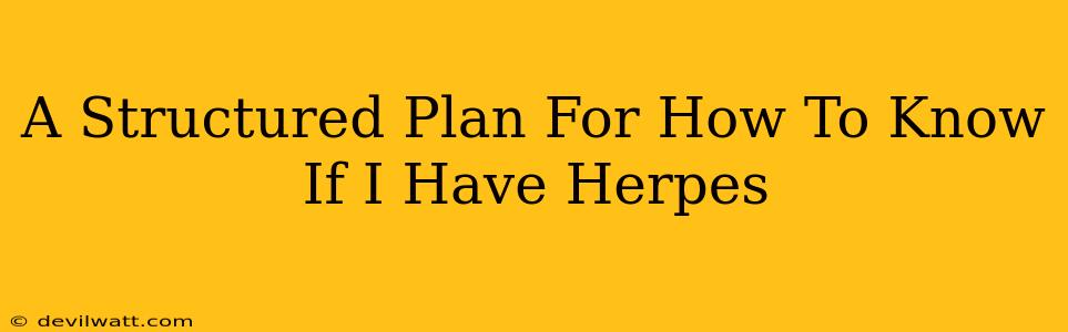 A Structured Plan For How To Know If I Have Herpes