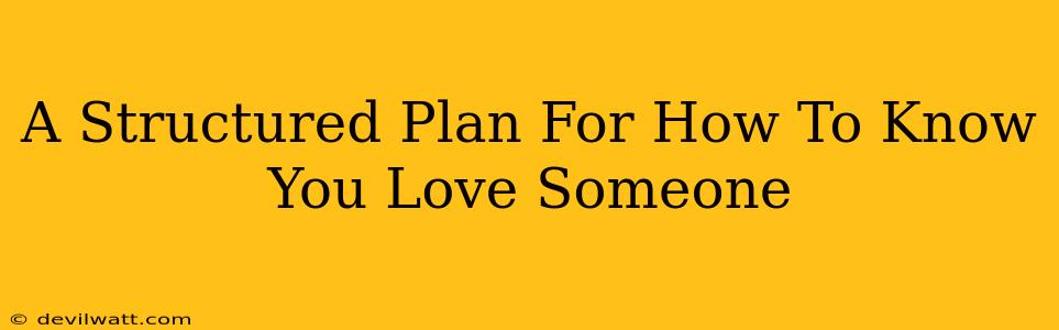 A Structured Plan For How To Know You Love Someone