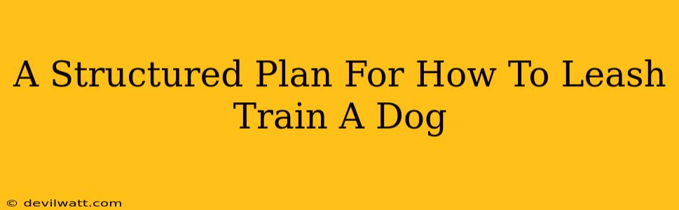 A Structured Plan For How To Leash Train A Dog