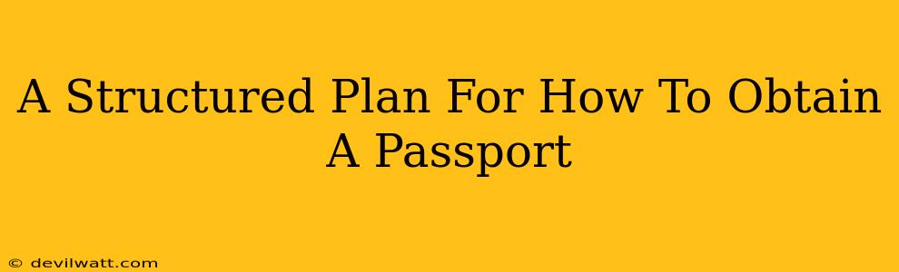 A Structured Plan For How To Obtain A Passport