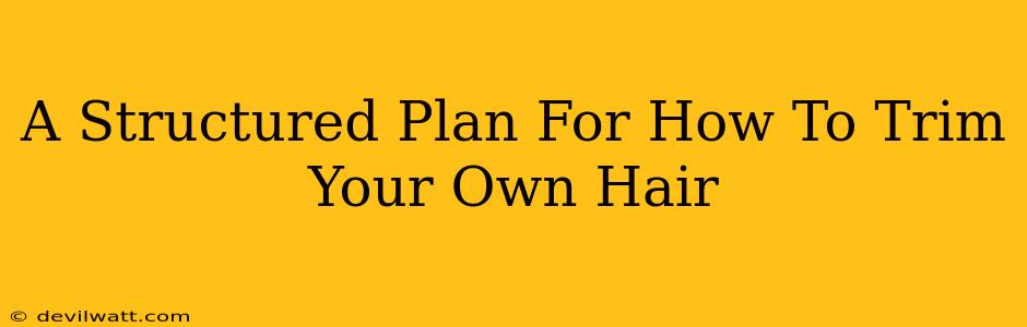 A Structured Plan For How To Trim Your Own Hair