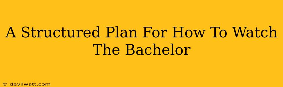 A Structured Plan For How To Watch The Bachelor