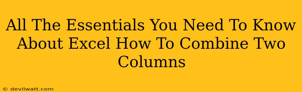 All The Essentials You Need To Know About Excel How To Combine Two Columns