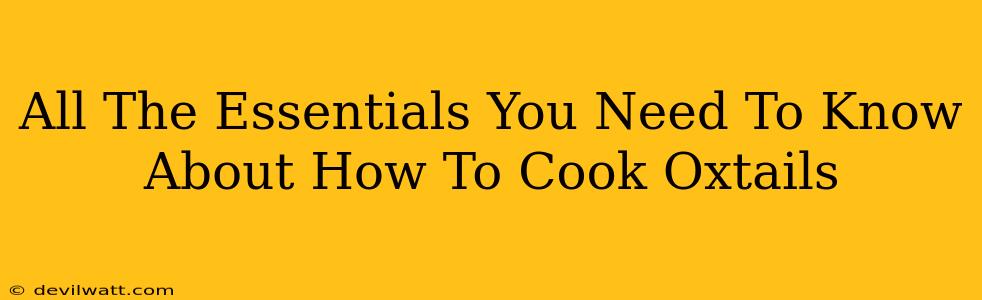 All The Essentials You Need To Know About How To Cook Oxtails