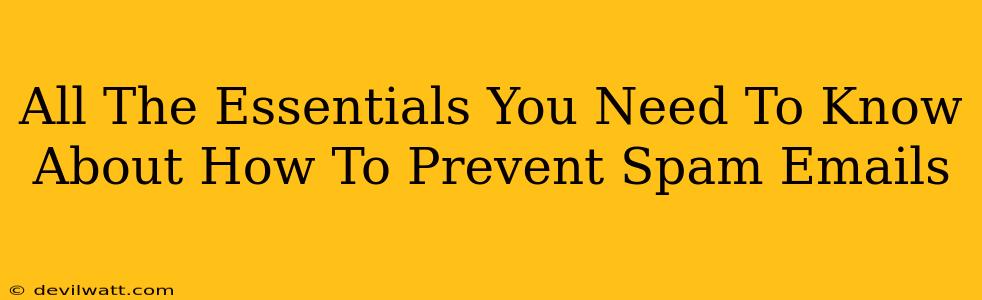 All The Essentials You Need To Know About How To Prevent Spam Emails