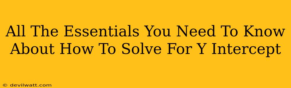 All The Essentials You Need To Know About How To Solve For Y Intercept