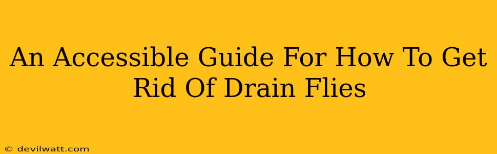 An Accessible Guide For How To Get Rid Of Drain Flies