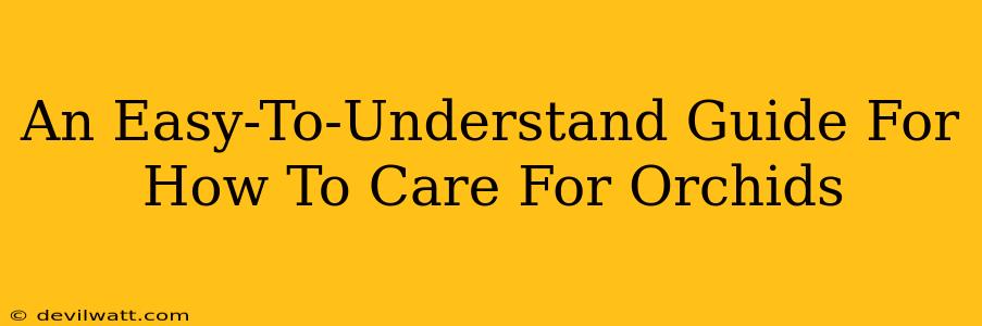 An Easy-To-Understand Guide For How To Care For Orchids