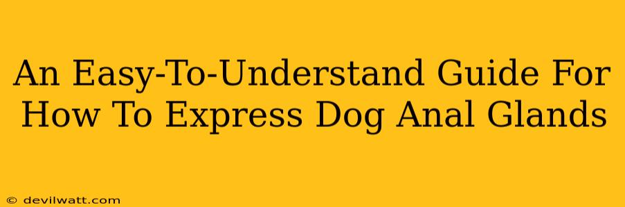An Easy-To-Understand Guide For How To Express Dog Anal Glands