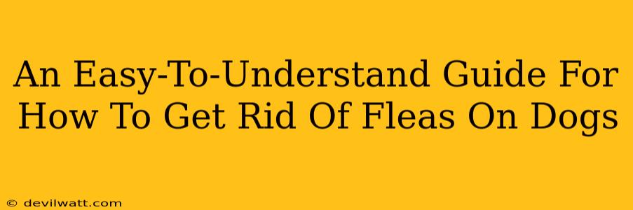 An Easy-To-Understand Guide For How To Get Rid Of Fleas On Dogs