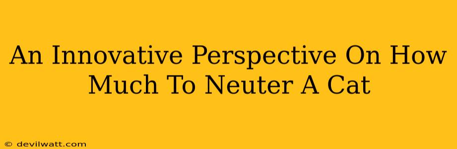 An Innovative Perspective On How Much To Neuter A Cat