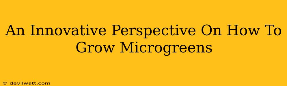 An Innovative Perspective On How To Grow Microgreens
