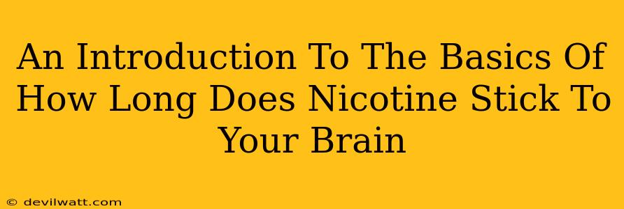 An Introduction To The Basics Of How Long Does Nicotine Stick To Your Brain