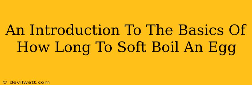 An Introduction To The Basics Of How Long To Soft Boil An Egg