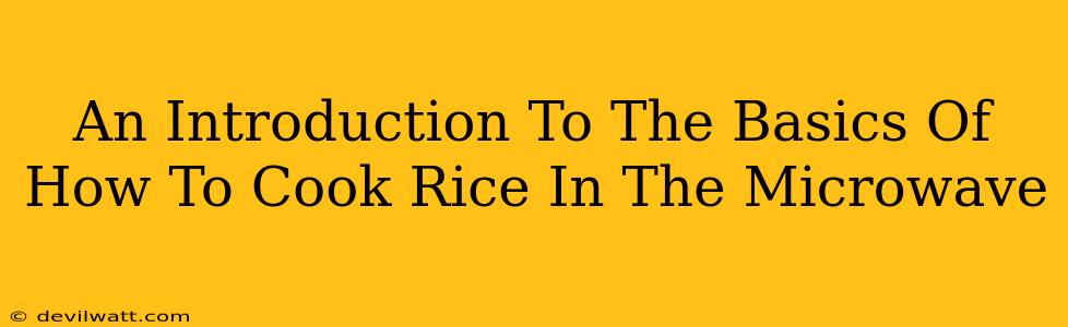 An Introduction To The Basics Of How To Cook Rice In The Microwave