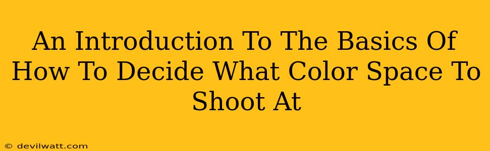 An Introduction To The Basics Of How To Decide What Color Space To Shoot At