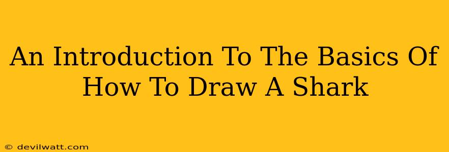 An Introduction To The Basics Of How To Draw A Shark