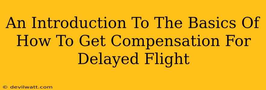 An Introduction To The Basics Of How To Get Compensation For Delayed Flight