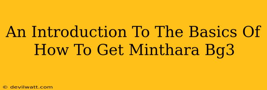 An Introduction To The Basics Of How To Get Minthara Bg3