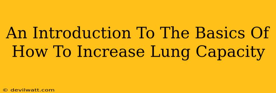 An Introduction To The Basics Of How To Increase Lung Capacity