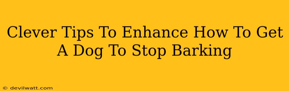 Clever Tips To Enhance How To Get A Dog To Stop Barking