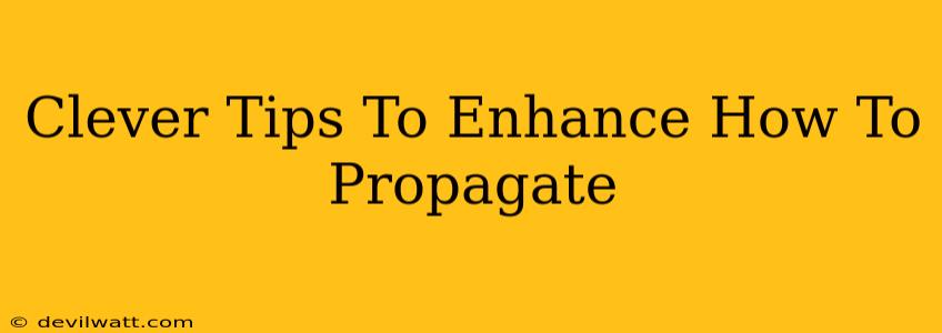 Clever Tips To Enhance How To Propagate