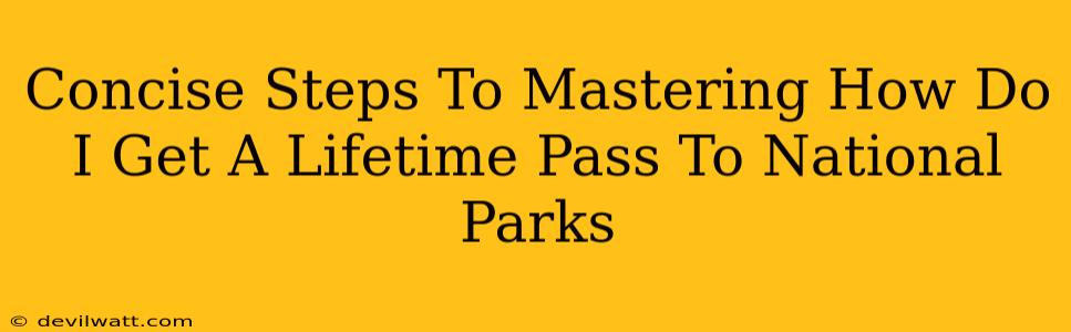 Concise Steps To Mastering How Do I Get A Lifetime Pass To National Parks