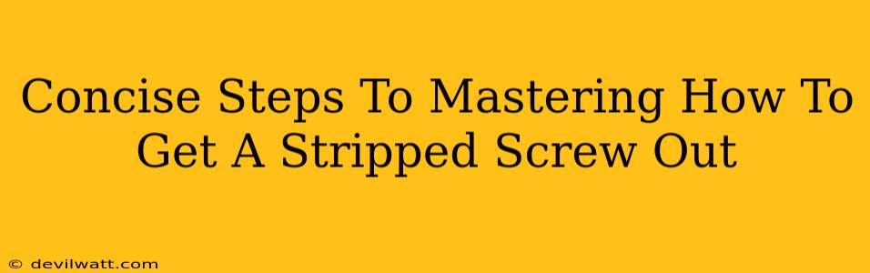 Concise Steps To Mastering How To Get A Stripped Screw Out