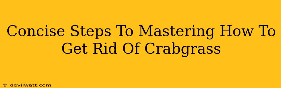 Concise Steps To Mastering How To Get Rid Of Crabgrass