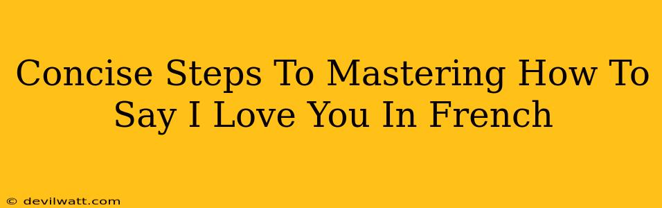 Concise Steps To Mastering How To Say I Love You In French