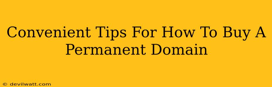 Convenient Tips For How To Buy A Permanent Domain