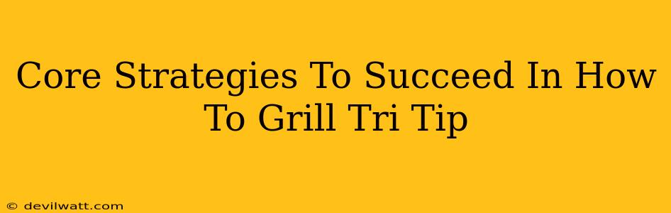 Core Strategies To Succeed In How To Grill Tri Tip