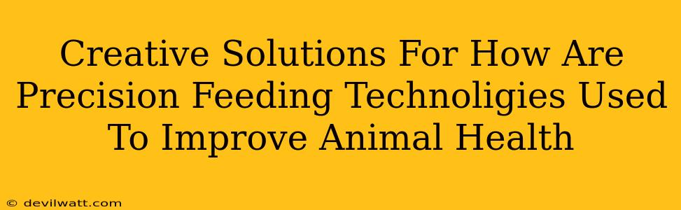 Creative Solutions For How Are Precision Feeding Technoligies Used To Improve Animal Health