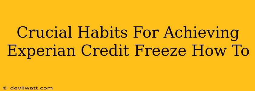 Crucial Habits For Achieving Experian Credit Freeze How To